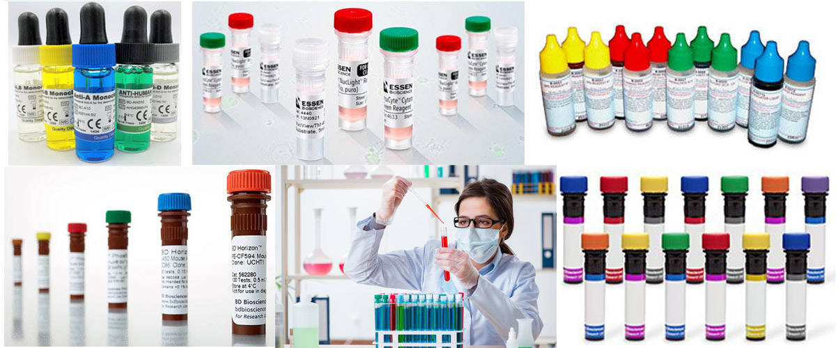 Plastic Test Tube Liquid Pharmaceutical Tube Filling Machine